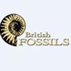 British FossilsBritish Fossils Logo di artigianato