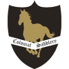 Colonial Saddlery equestre fornitore